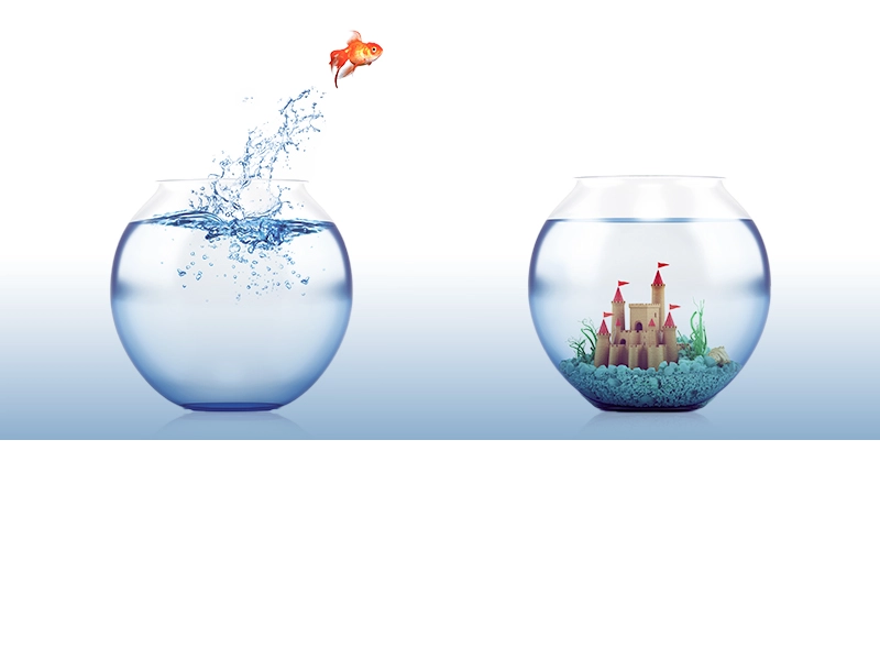 Zu sehen sind zwei kleine, runde Aquarien gefüllt mit Wasser. Im linken ist ausschließlich Wasser und ein kleiner orangener Goldfisch springt aus diesem in das andere Aquarium. In diesem ist Wasser und eine kleine Burg auf blauen Steinen zu sehen.