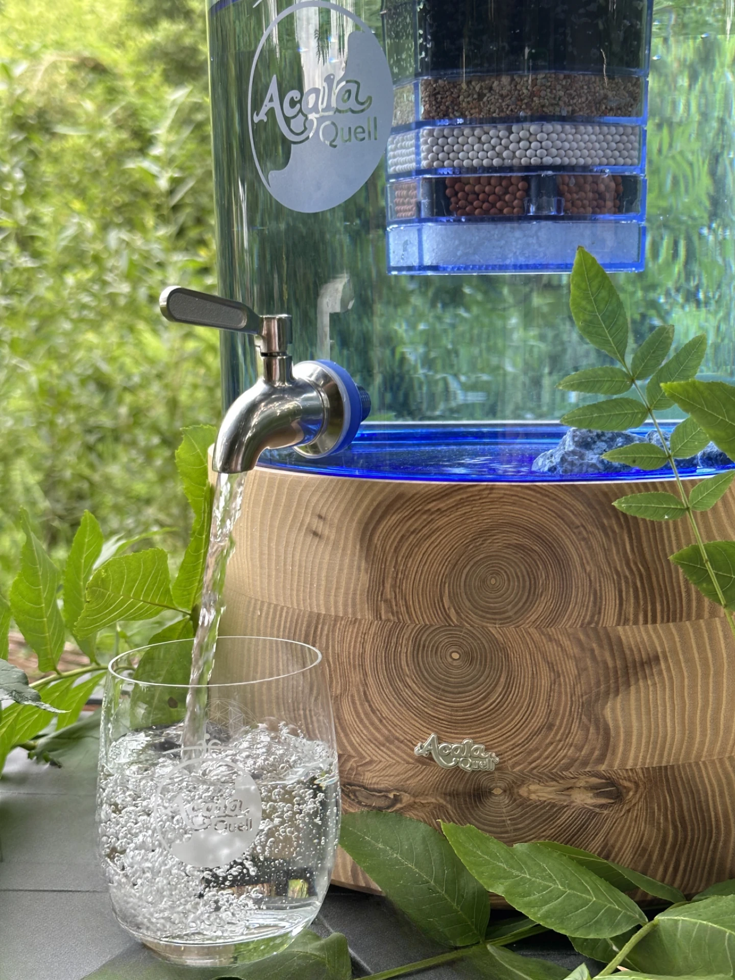 Stand Wasserfilter von Acala mit Esche Sockel, blauem Glastank und Edelstahl Wasserhahn. Aus dem Hahn läuft Wasser in ein darunter stehendes Glas. Im Hintergrund sieht man grüne Blätter, auch um den Filter herum liegen grüne Blätter.