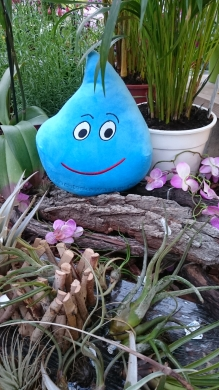 Zu sehen ist ein Kuscheltier in Form eines Wassertropfens. Es ist blau, hat freundliche Augen und einen lachenden, roten Mund. Das Bild zeigt den Kuschel Wassi von Acala zwischen verschiedenen Topfpflanzen.